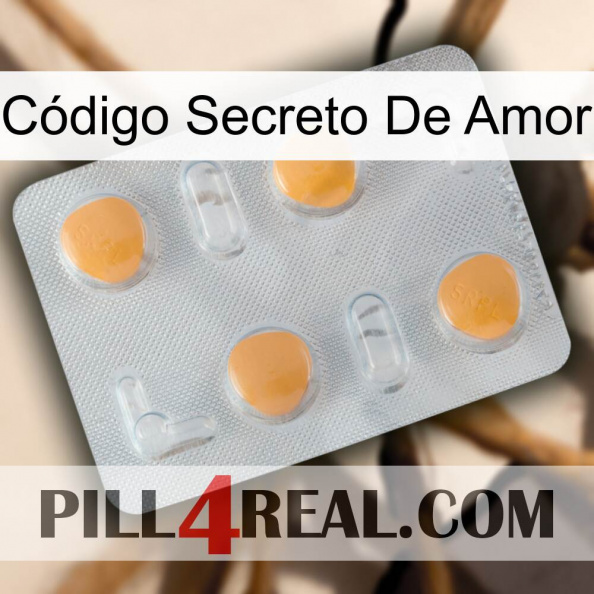 Código Secreto De Amor 24.jpg